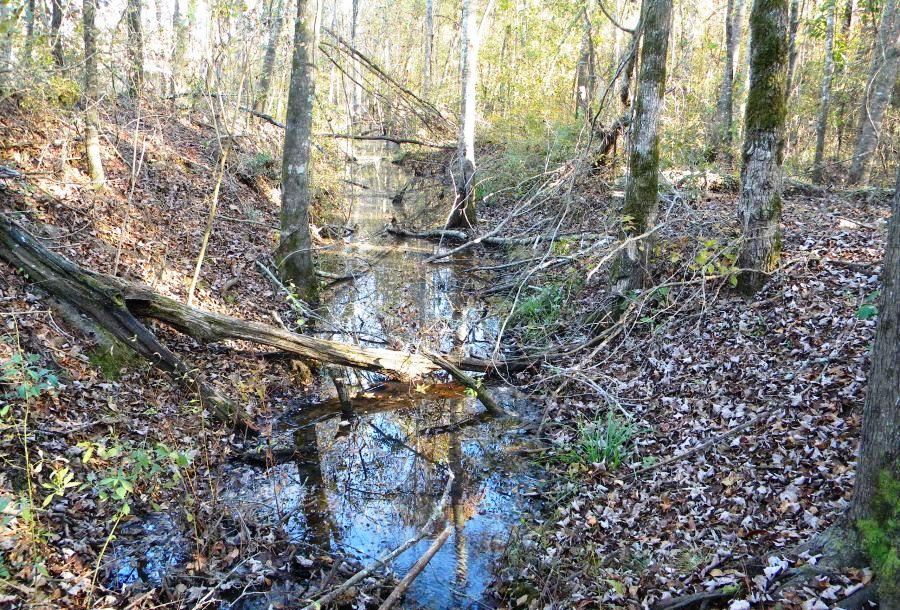 Beaver Dam Pond Photo