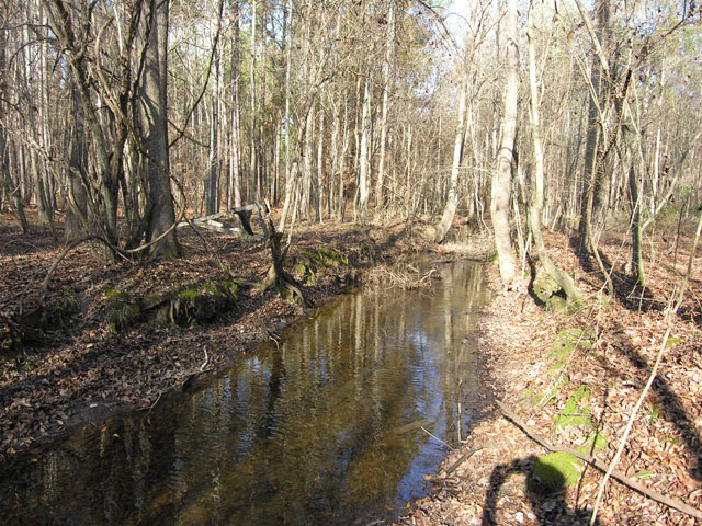 Big Buck Retreat Photo