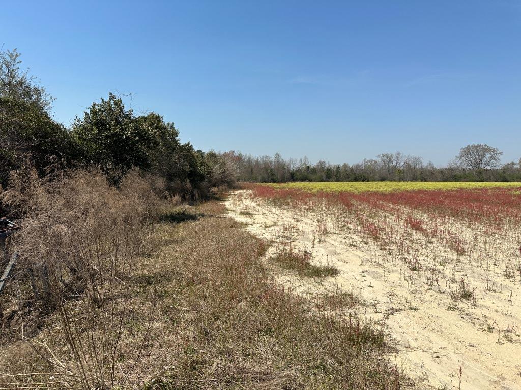 Seaborn Farm – Tract 1 Photo