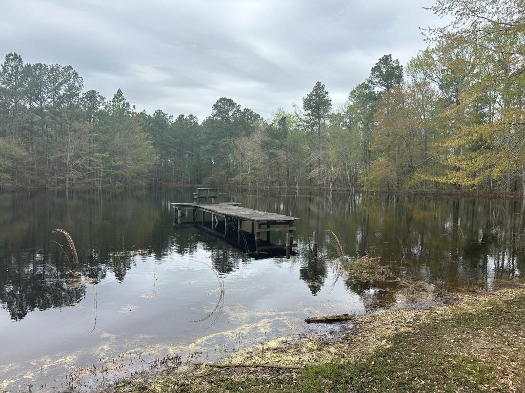 Mulberry Pond Photo