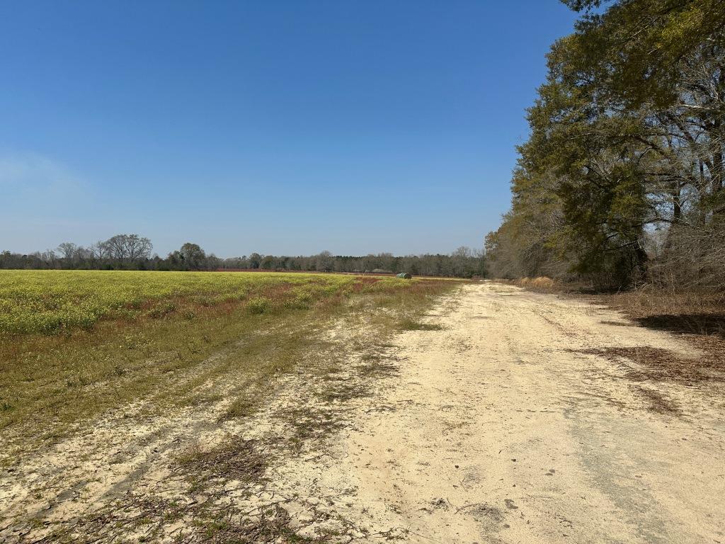 Seaborn Farm – Tract 1 Photo