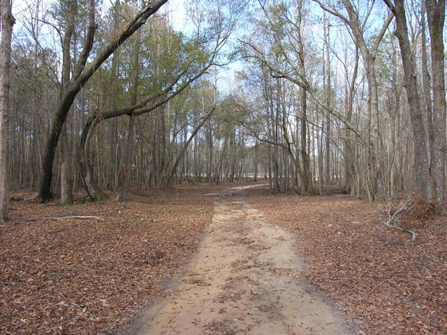 Big Buck Retreat Photo