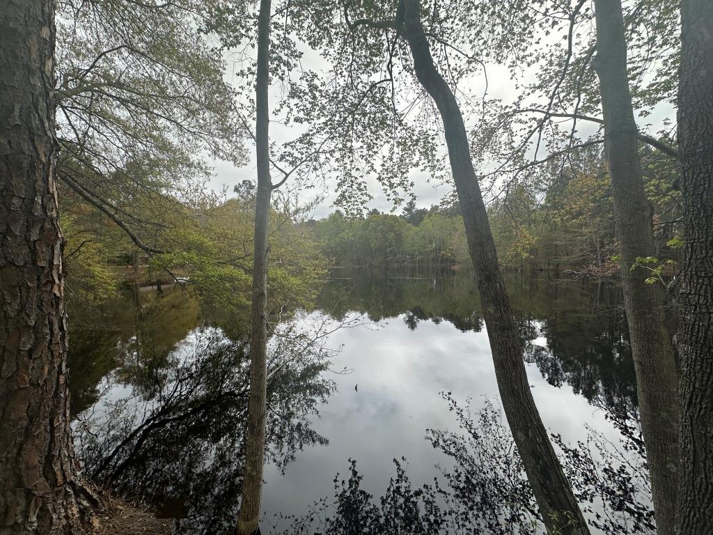 Mulberry Pond Photo