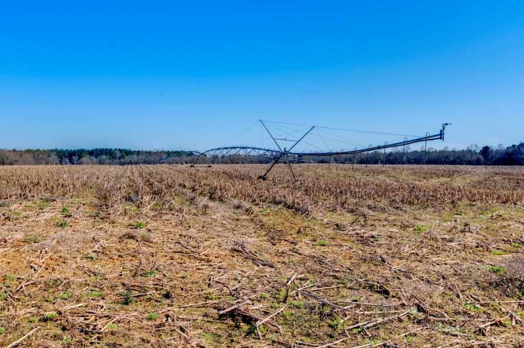 Kennedy Bridge Farm Photo