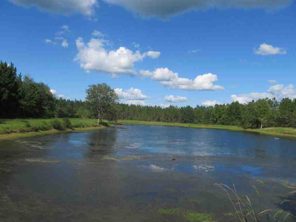 Tiller Pond Photo