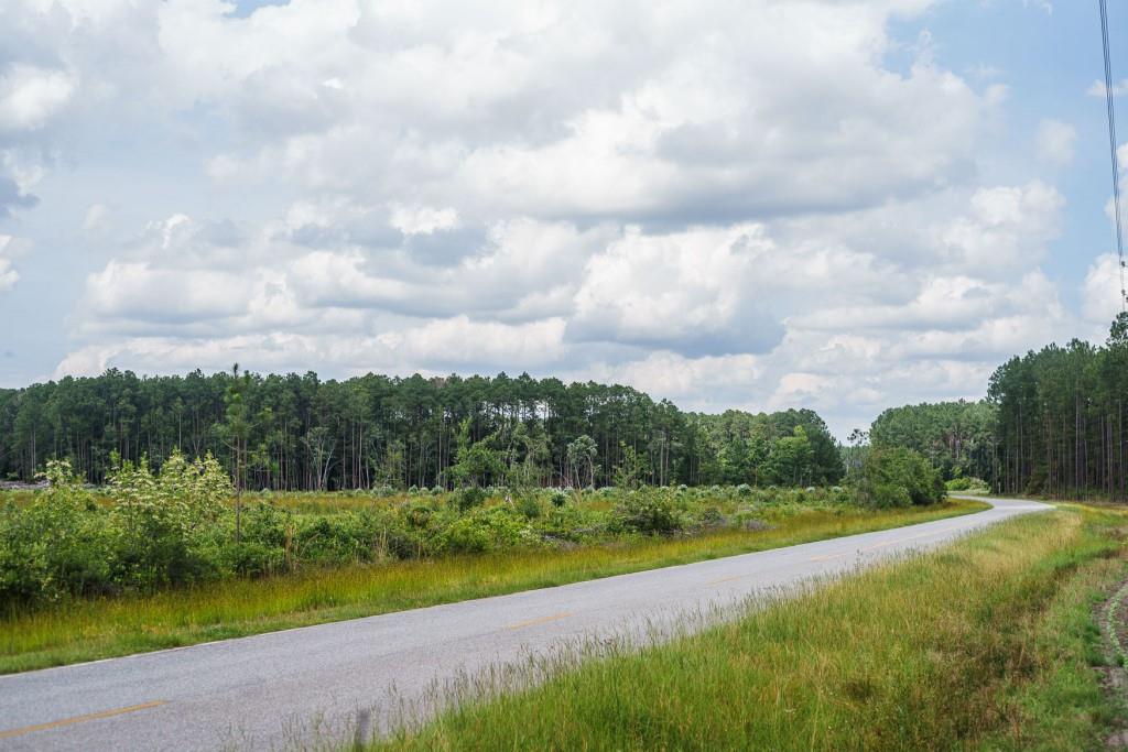 Brantley Timber Tract Photo