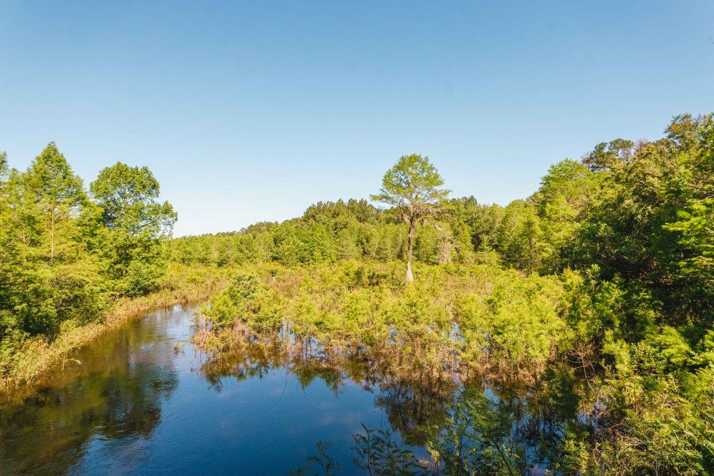 Bowen Mill Photo