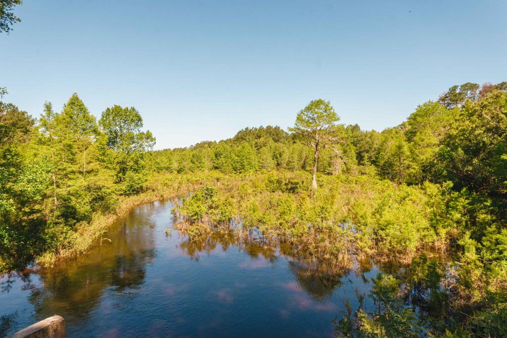 Bowen Mill Photo