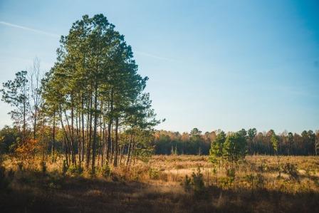 Thompson Pond Photo