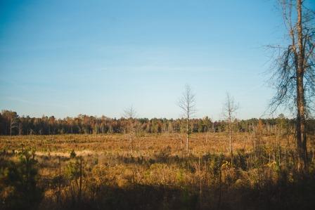 Thompson Pond Photo