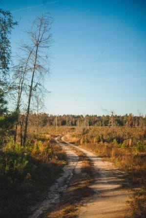 Thompson Pond Photo