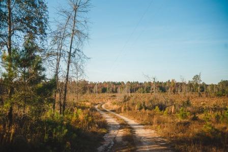 Thompson Pond Photo