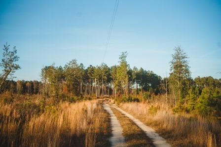 Thompson Pond Photo