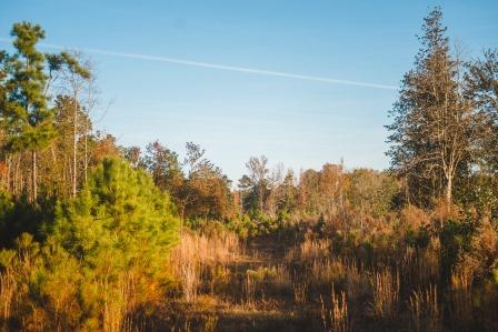 Thompson Pond Photo