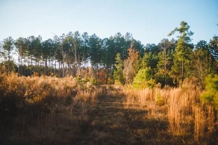 Thompson Pond Photo