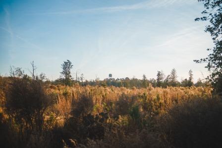 Thompson Pond Photo