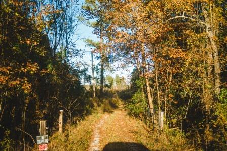 Thompson Pond Photo