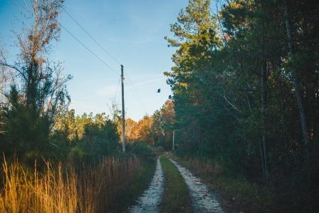 Thompson Pond Photo