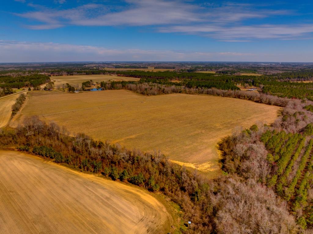 Kennedy Bridge Farm Photo
