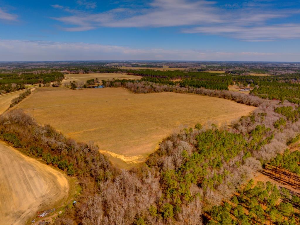 Kennedy Bridge Farm Photo
