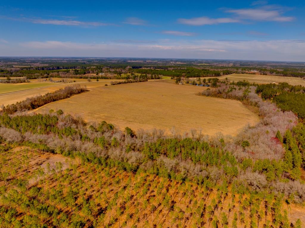 Kennedy Bridge Farm Photo