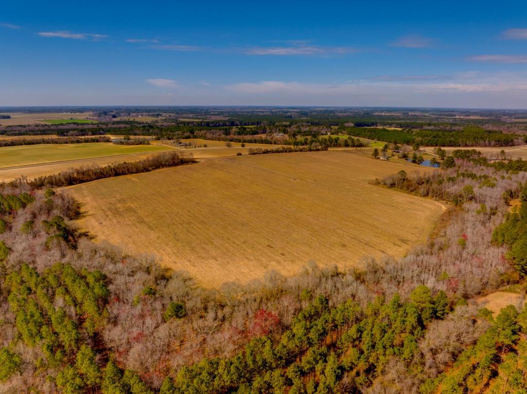 Kennedy Bridge Farm Photo