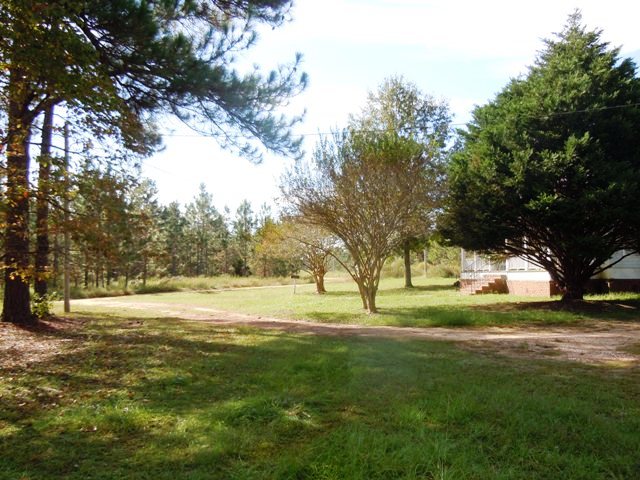 Holland Pines Homeplace Photo