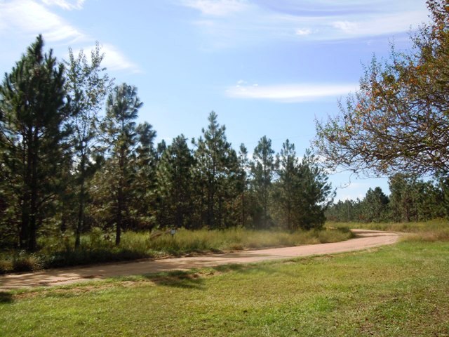 Holland Pines Homeplace Photo