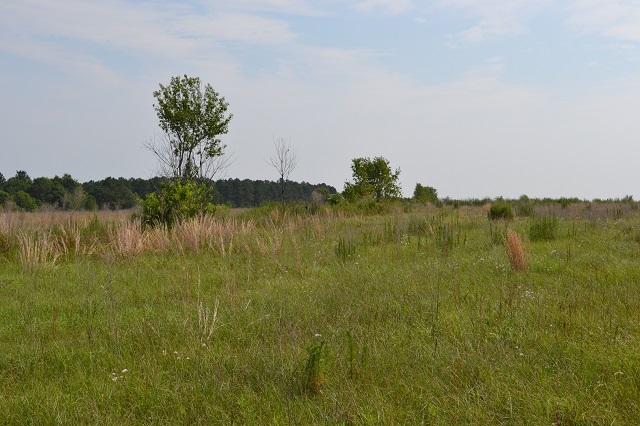 Mock Farm Photo