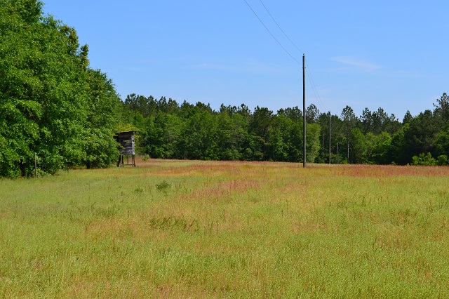 Big Sandy Creek Photo