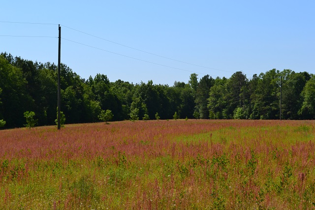 Big Sandy Creek Photo