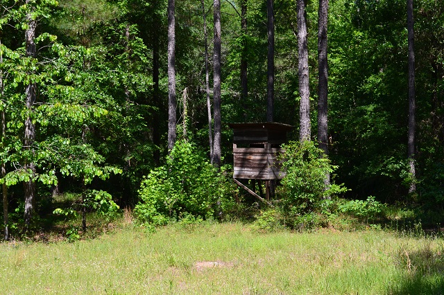 Big Sandy Creek Photo