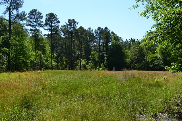 Big Sandy Creek Photo