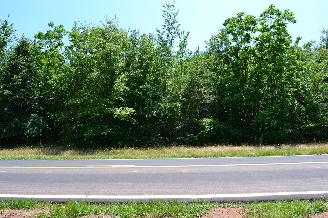 Buckeye Road Tract 2 Photo