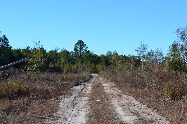 George Parrot Road Photo