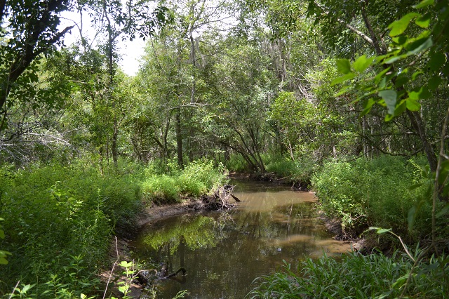 Open Creek Photo