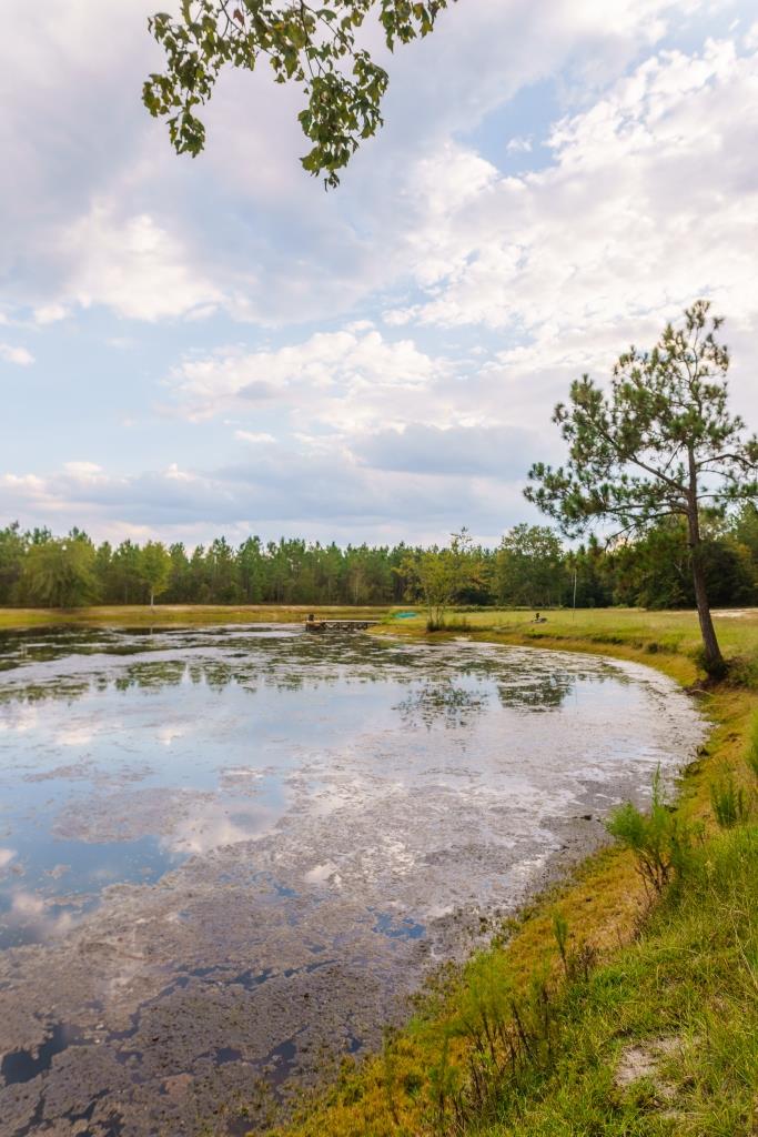 Tiller Pond Photo