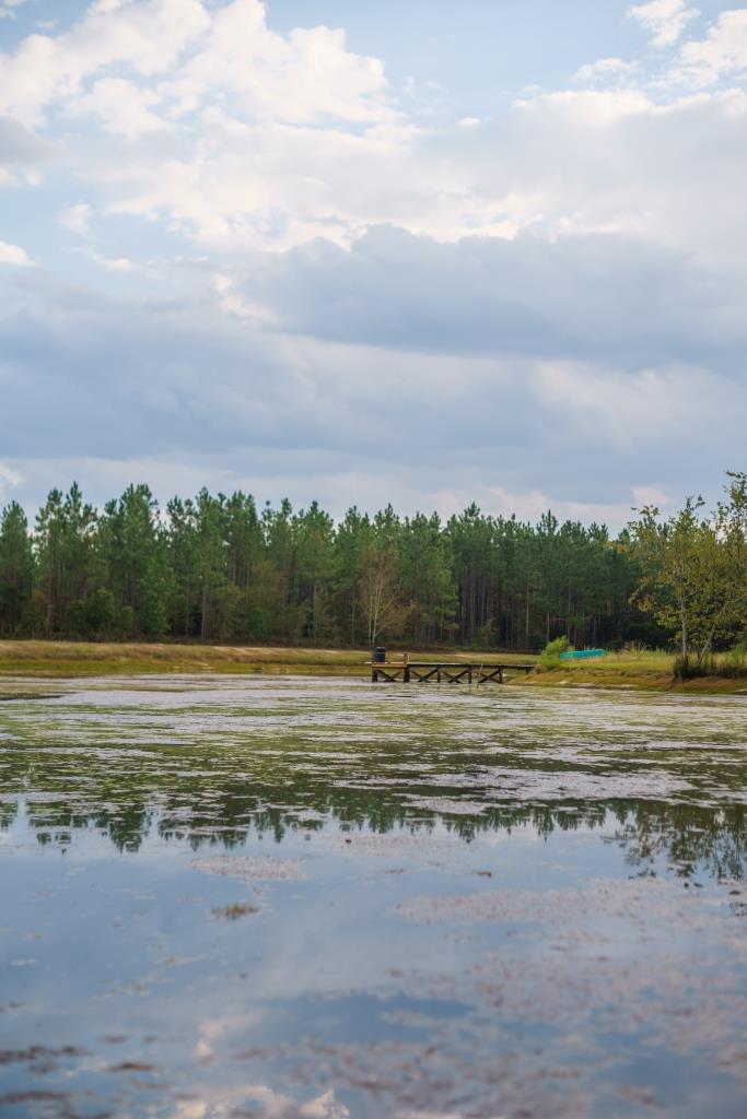 Tiller Pond Photo