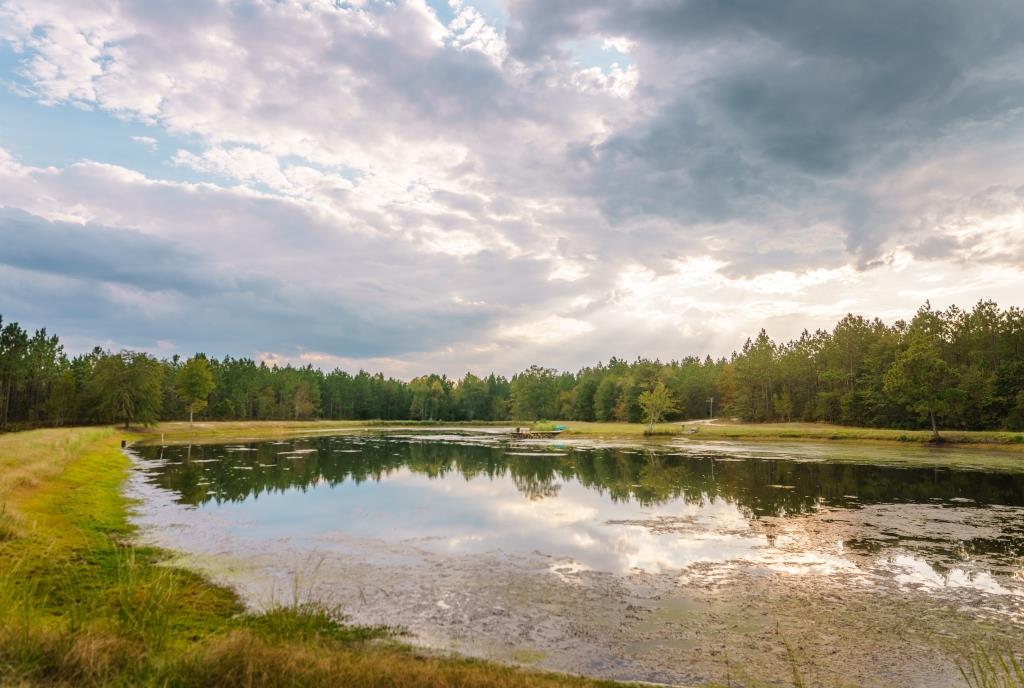 Tiller Pond Photo