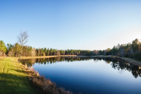 Tiller Pond