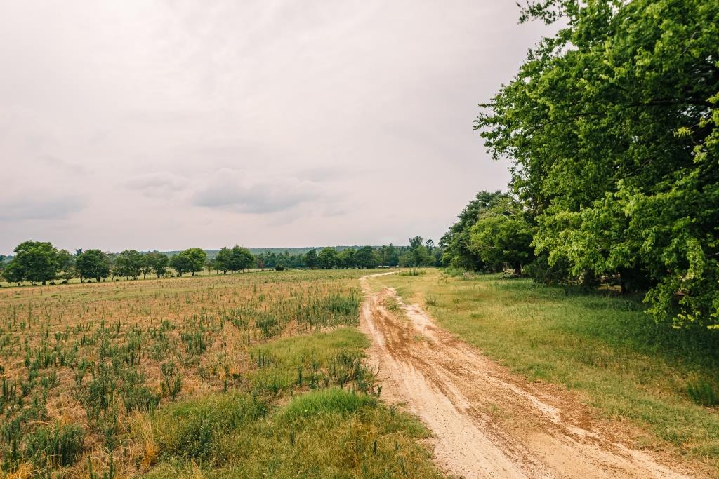 Part of Chickasaw Farm Photo