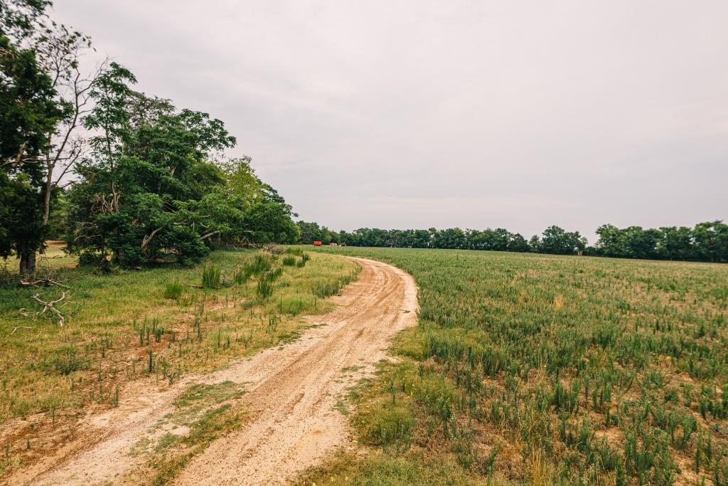 Part of Chickasaw Farm Photo