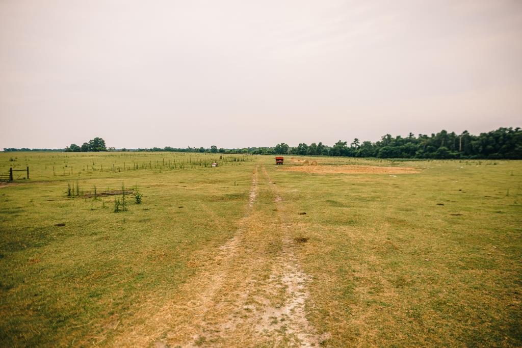 Part of Chickasaw Farm Photo