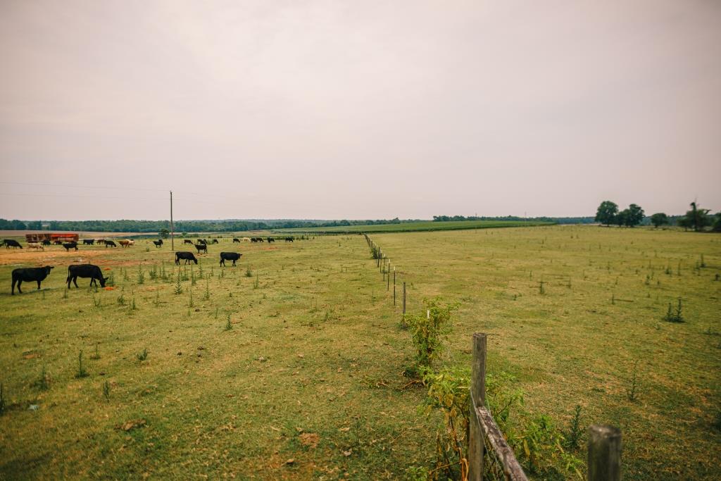 Part of Chickasaw Farm Photo