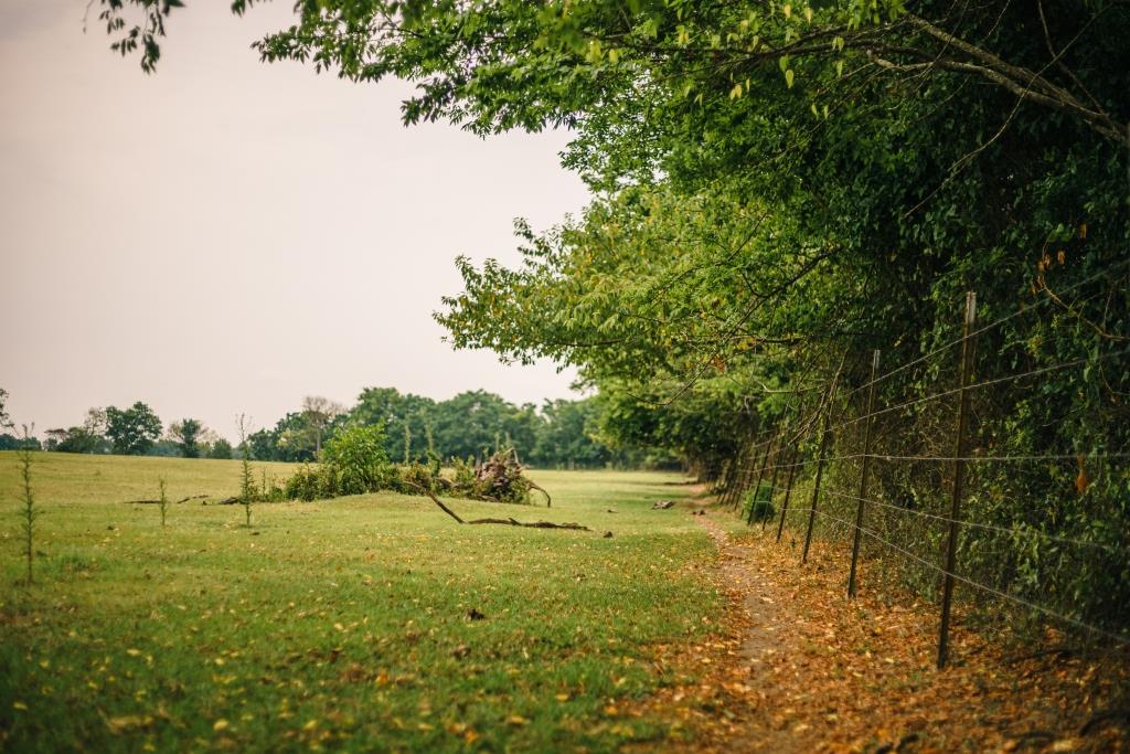 Part of Chickasaw Farm Photo