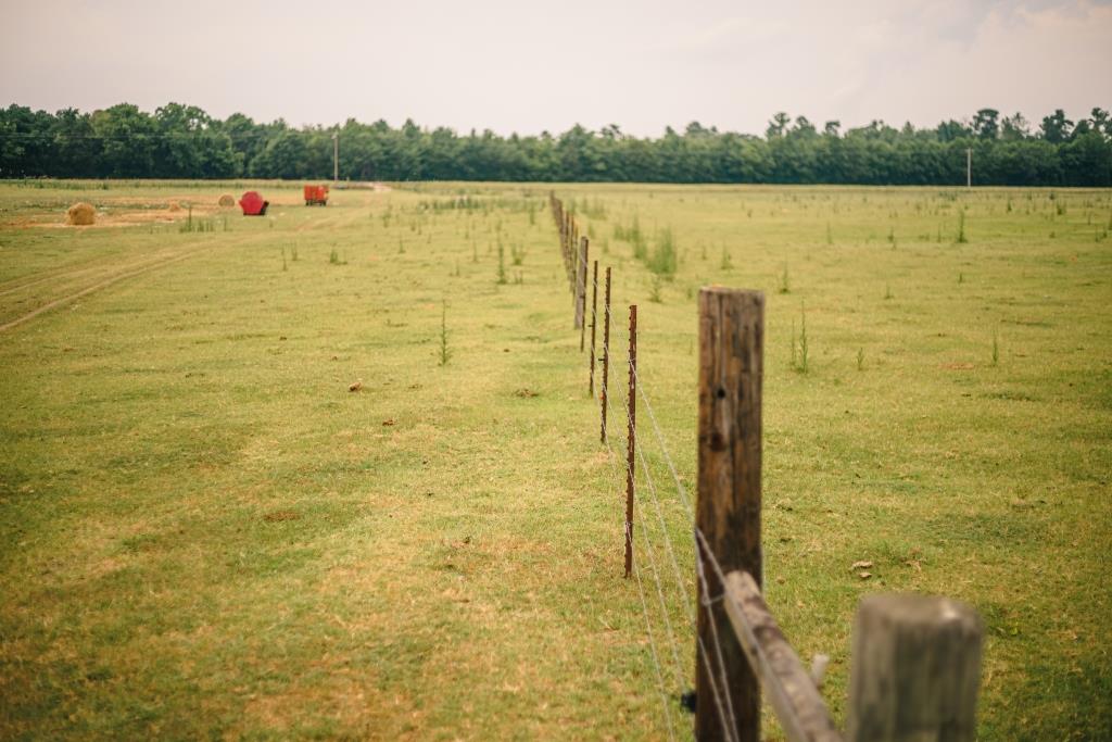 Part of Chickasaw Farm Photo