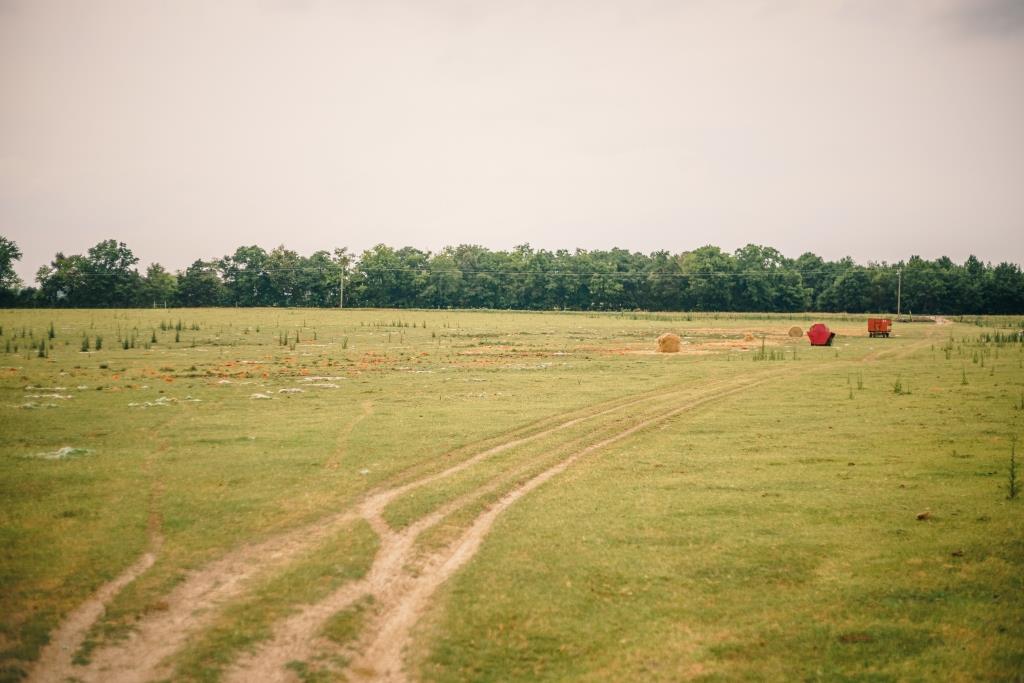 Part of Chickasaw Farm Photo