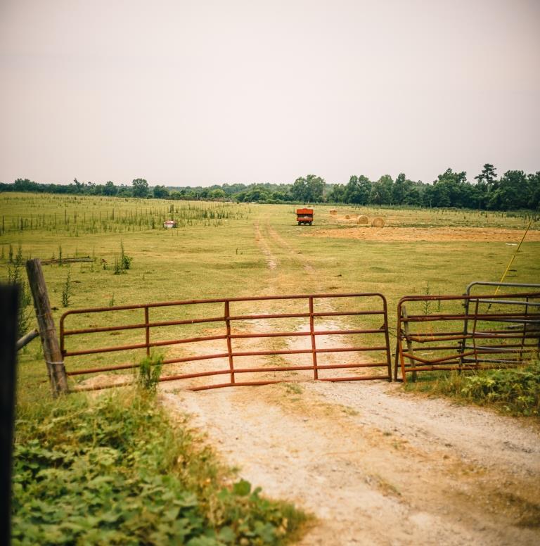 Part of Chickasaw Farm Photo