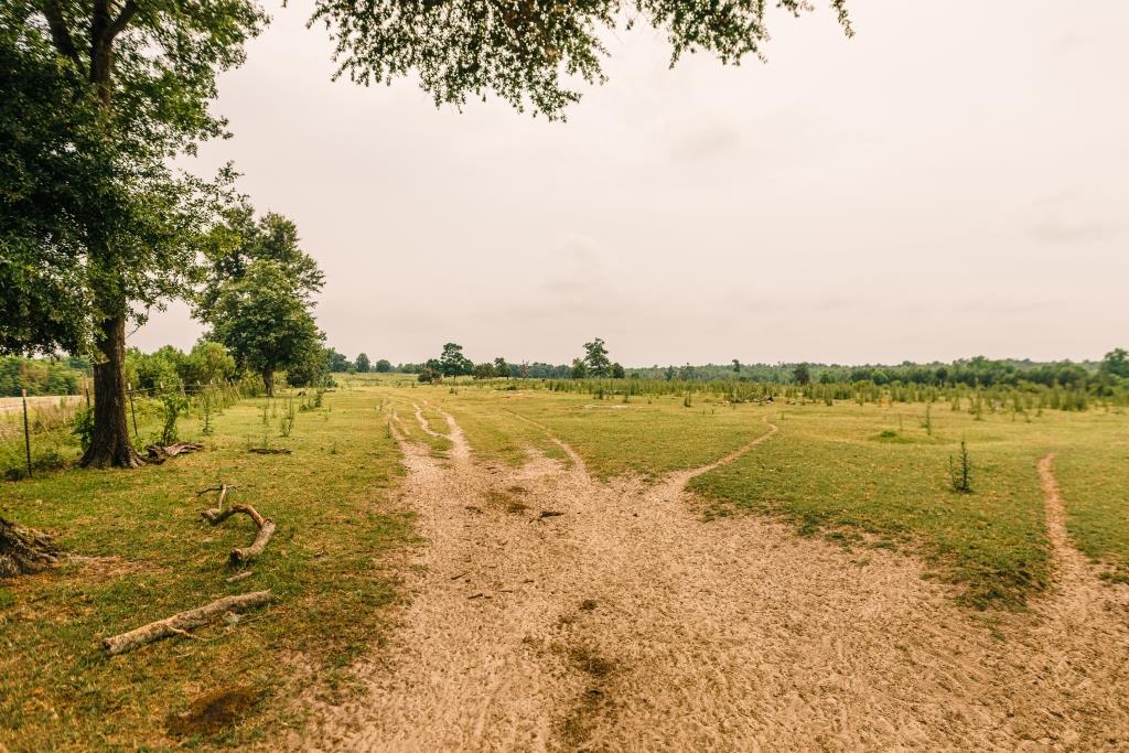 Part of Chickasaw Farm Photo