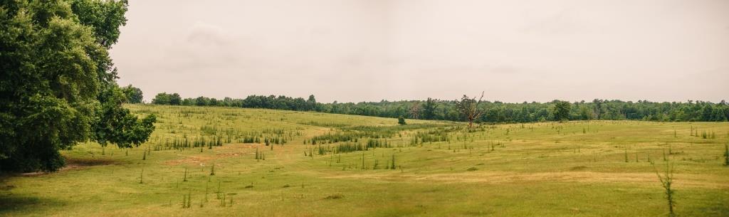 Part of Chickasaw Farm Photo